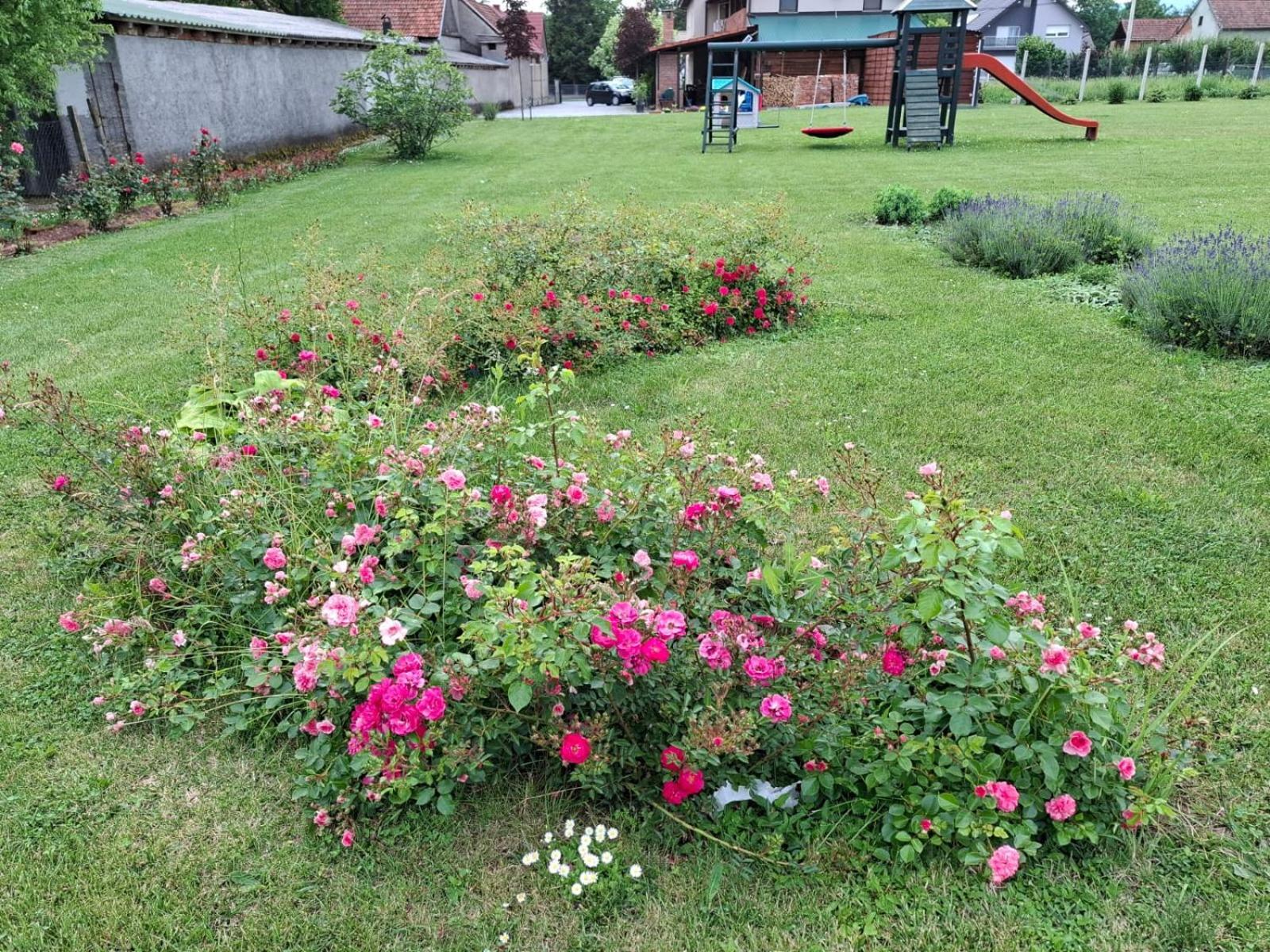 Kuca Za Odmor Vallirea Kaptol Exterior foto